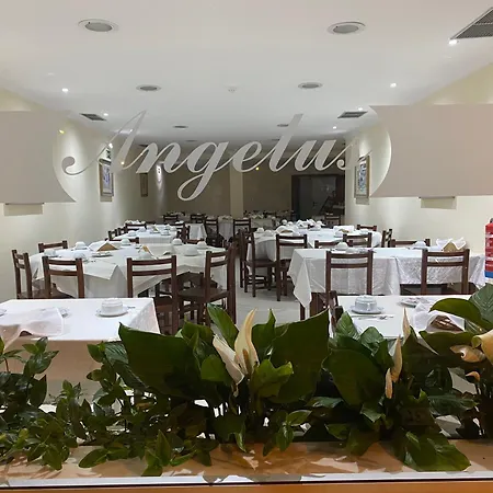 Angelus Guest house