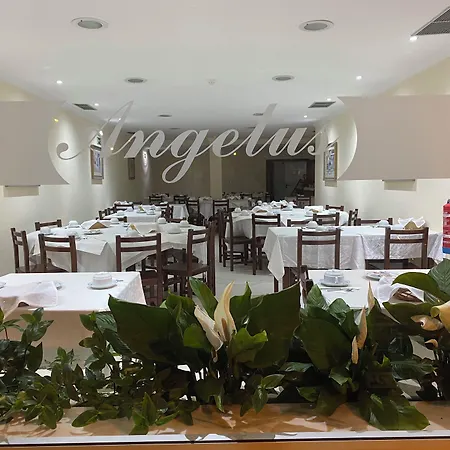 Angelus Гостевой дом Фатима